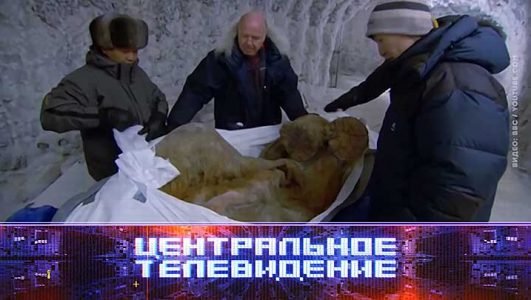 Центральное телевидение (Эфир 2 октября 2021 года)